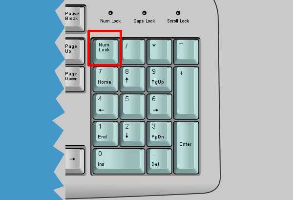 Инструкция по включению боковой клавиатуры с цифрами на ноутбуке