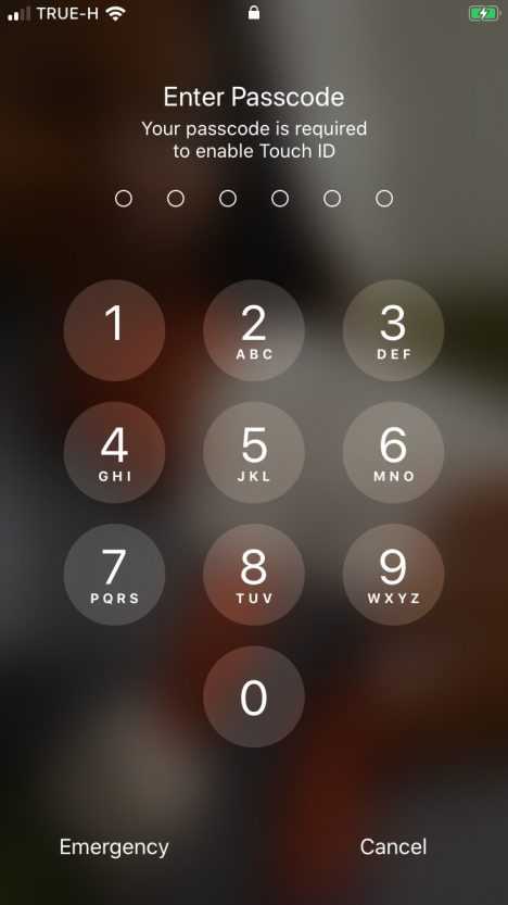 Как разблокировать iPhone, если забыл пароль - 6 способов сбросить пароль на айфоне