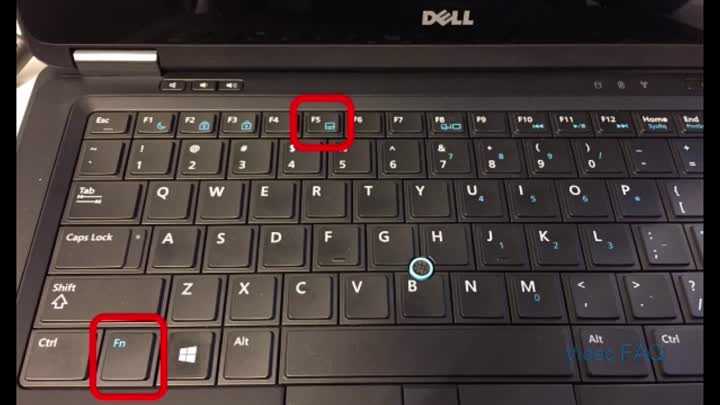 Как включить клавиатуру на ноутбуке - возможные варианты