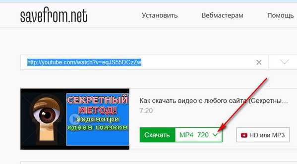 Как скачать видео с любого сайта за 1 минуту | www.nibbl.ru