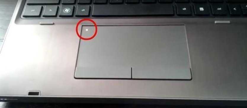 Как включить тачпад на ноутбуке lenovo, asus, hp или acer под управлением windows 10, 7 и 8