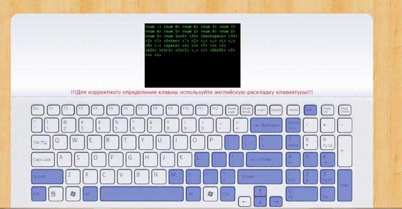 Не работает клавиатура на ноутбуке: причины, что делать и решение