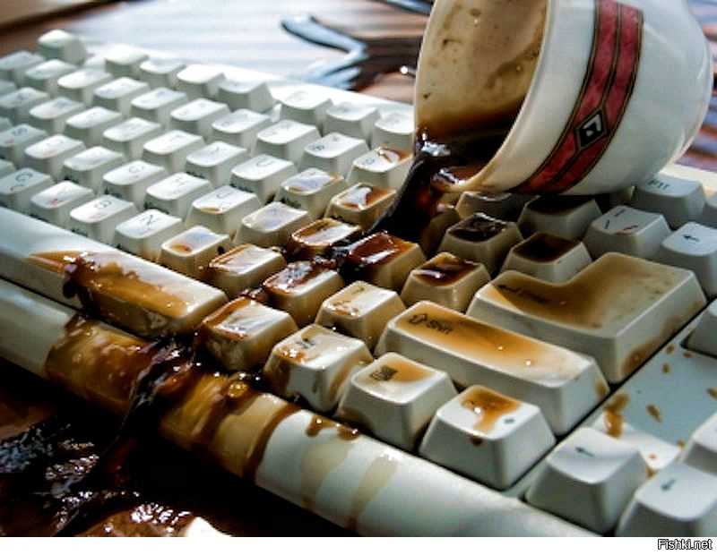 Что делать, если пролил воду на ноутбук: залил жидкостью, не работает клавиатура