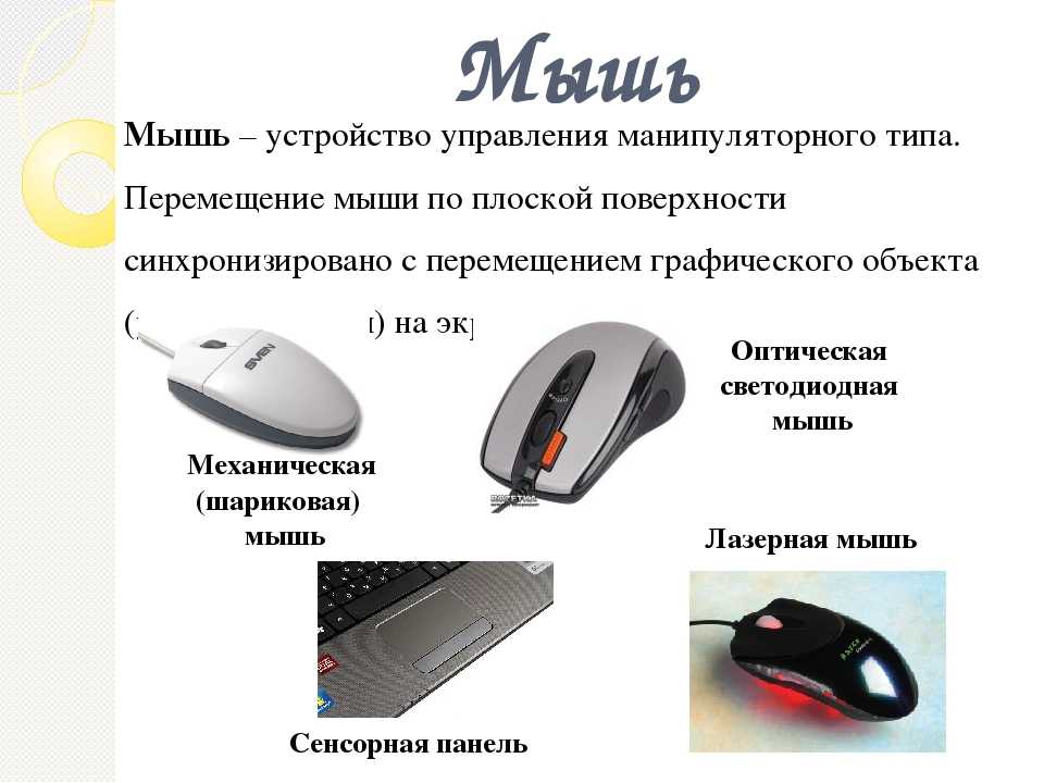 Как выбрать лучшую мышку для ноутбука: подробная инструкция