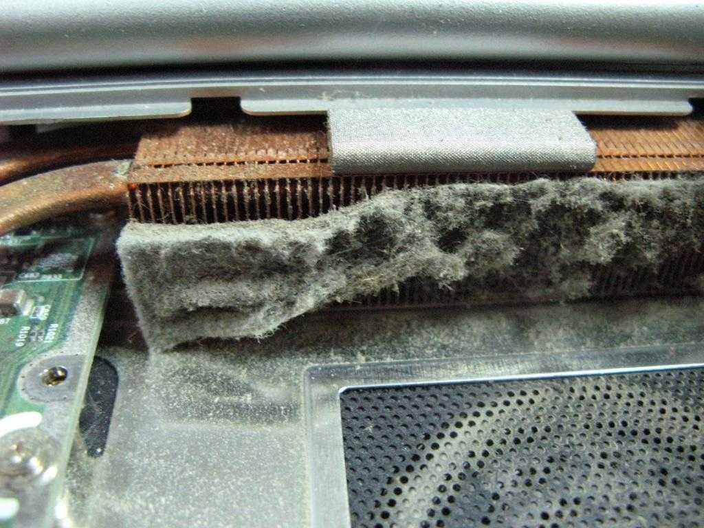 Как почистить ноутбук от пыли и заменить термопасту самостоятельно