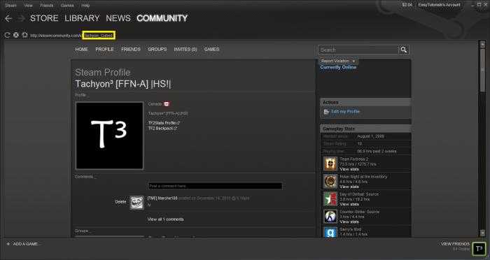Способы определения своего steam id или идентификатора друга
