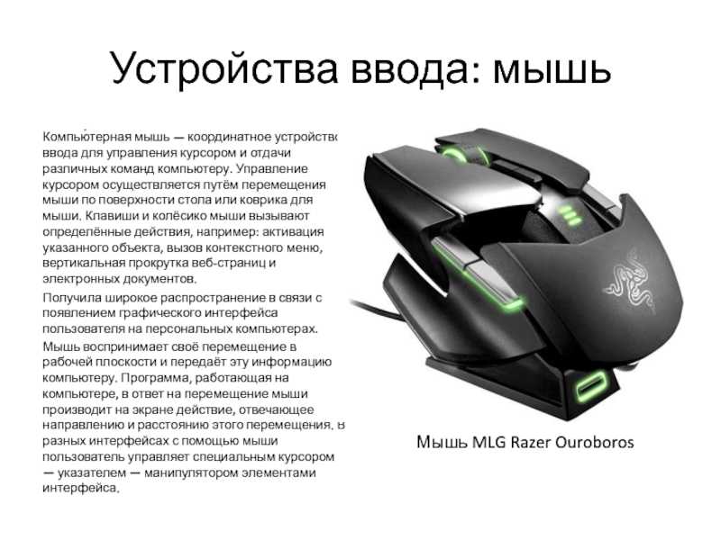 Как выбрать беспроводную мышь для ноутбука? | ichip.ru