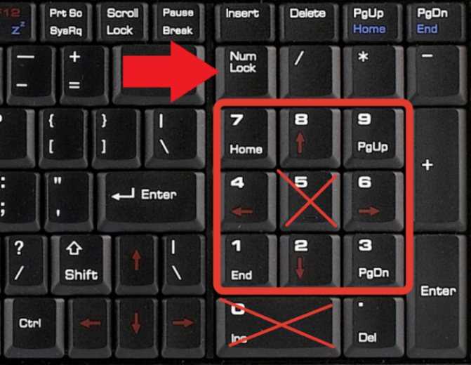 Не работает клавиатура на ноутбуке - что делать? советы 2018 года