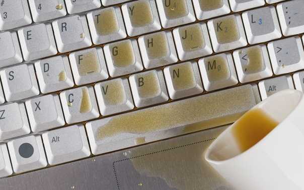 Что делать, если залил клавиатуру и не работают клавиши — действия при попадании жидкости на клавиатуру ноутбука.