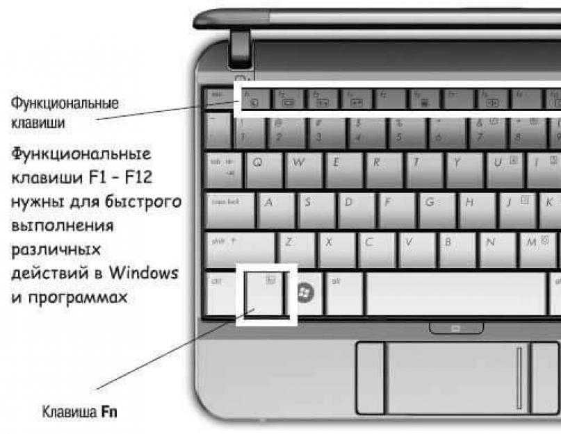 Функциональные клавиши на ноутбуке: особенности использования
функциональные клавиши на ноутбуке: особенности использования