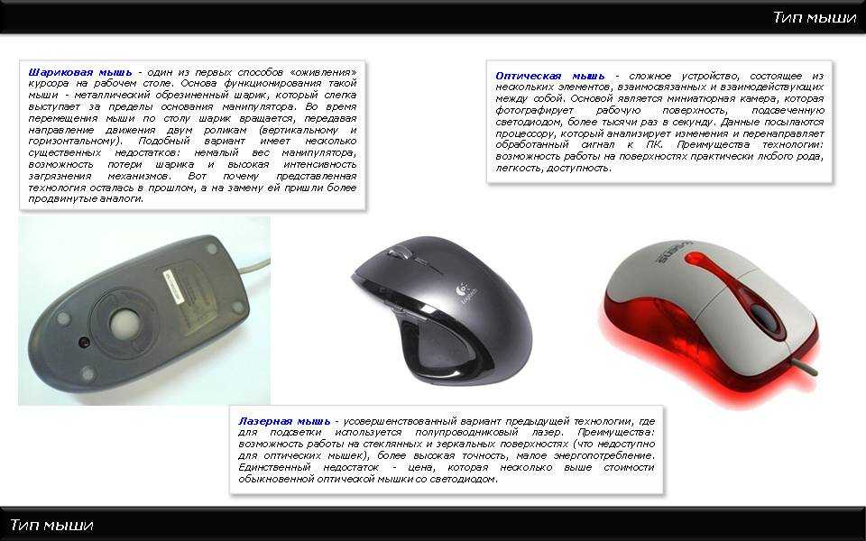 Как выбрать мышь для компьютера, лучшие компьютерные мышки блог ивана кунпана