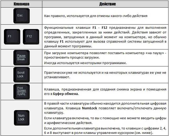 Клавиатура компьютера назначение клавиш описание фото, сочетание горячих клавиш компьютерной клавиатуры, раскладка и комбинации | tvercult.ru