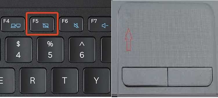 Как отключить кнопку fn на на всех моделях ноутбуков