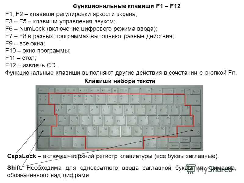 Как спасти клавиатуру ноутбука, залитую водой? инструкция