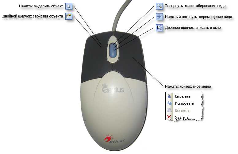 Как выбрать компьютерную мышку